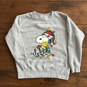 Festive Gray Sweatshirt with Snoopy and Woodstock